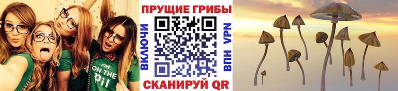 Купить закладки  Унеча  Галлюциногенные грибы Magic Shrooms 